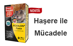 Bayer Rodilon Fare Pasta Zehiri