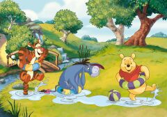 WN 709 Puzzle 50 -KS