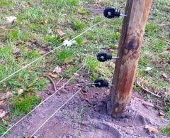 Elektrikli Çit Montaj İzolatörü (25li Paket)