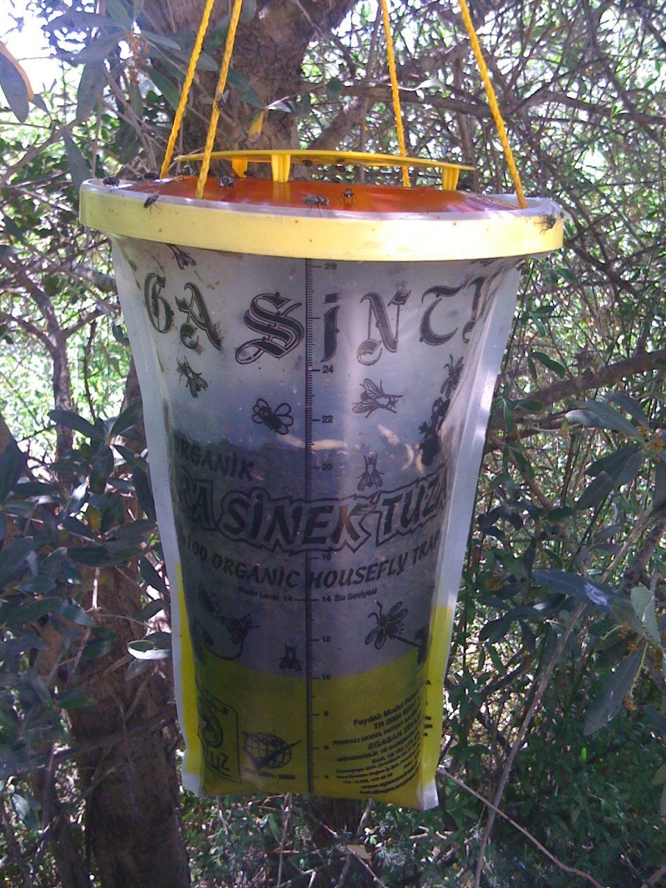 Sintuz Stz-01 Karasinek Tuzağı Fly Trap %100 Etkili Organik