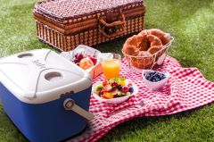 Kale 1178 30 LT Buzzy (Oto Termos) Buzluk