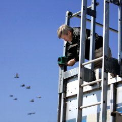 Bird-X Critter Blaster Pro Sonik Kuş Hayvan Kovucu 24.280 m² (Fare, yaban domuzu, kedi, köpek)