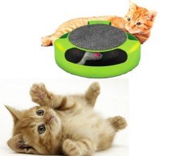 BUFFER® Catch the Mouse Kedi Oyuncağı