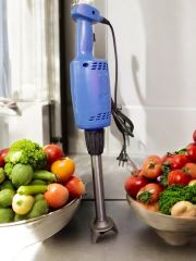 Özlem Sanayi Tipi Blender BL-25cm - Yüksek Performanslı Endüstriyel El Blenderi (1 Adet)