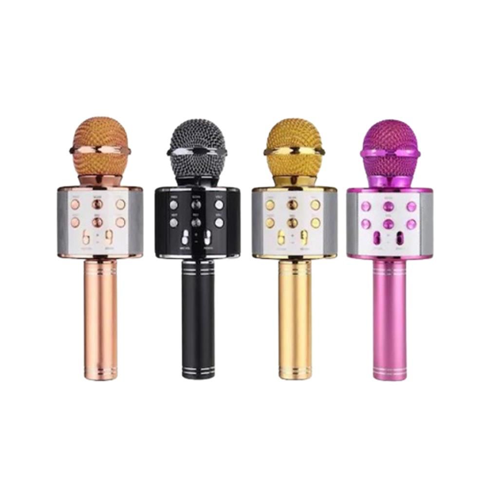 Torima WS-858 Ses Değiştirmeli Karaoke Mikrofon