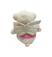 55 CM KANATLI MELEK AYI -HLY