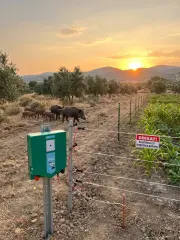 MG Milker MA2800 12 V / 220 V Elektrikli Çit Makinesi Duo Çift Fonksiyonlu