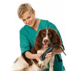 OSTER Powermax Kedi Köpek Tıraş Makinesi Çift Devirli