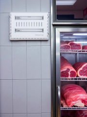 Elektro Frog SM017-K Slim Duvar Tipi UV Işıklı Sinek Tutucu Cihaz Krem Boyalı 30 – 40m² (2 X 15 W)