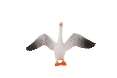 KZL-HY714-1 PVC DE KUŞLAR