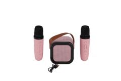EMR-102 KUTULU 2Lİ KARAOKE MİKROFON