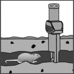 SuperCat Tarla Faresi Kapanı (Toprak Altı)