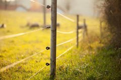 Elektrikli Çit Galvanizli Çit Teli 1000 metre
