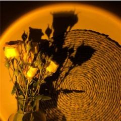 180° Derece Ayarlanabilir Usb li Gün Işığı Great Picture Sunset Gün Batımı Efekti Gece Lambası