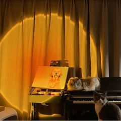 180° Derece Ayarlanabilir Usb li Gün Işığı Great Picture Sunset Gün Batımı Efekti Gece Lambası