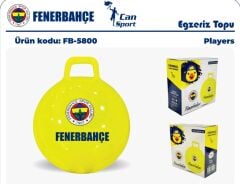 FB-5800 FENERBAHÇE X-ZIP ZIP TOP PLAYERS-CNT
