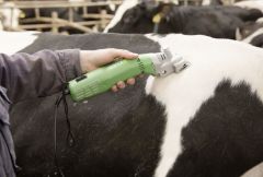 Kerbl Constanta 4 Büyükbaş Tıraş Makinesi (Alman Malı)