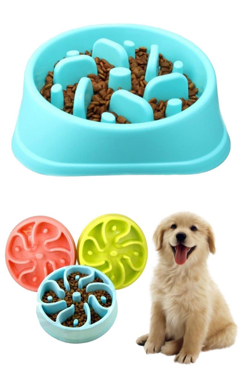 BUFFER® Kedi Köpek Mama Kabı Geniş Büyük Dekoratif Yemek Kabı Tabağı