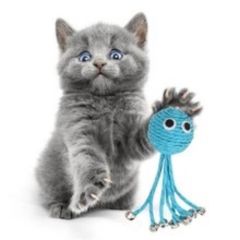 BUFFER® Zilli Peluş Yumuşacık Renkli Hasır  Mavi Ahtapot  Kedi Oyuncağı