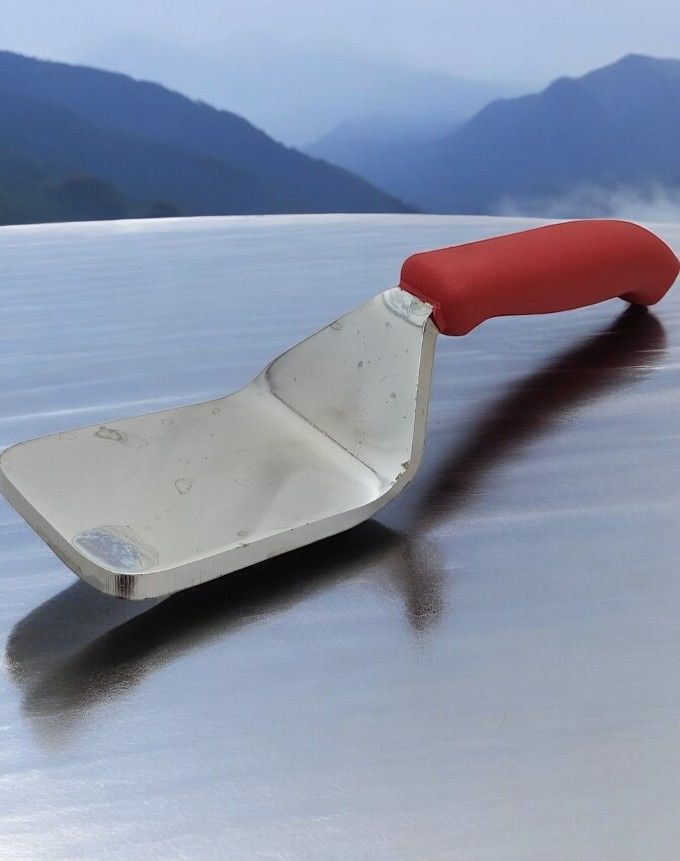 Atlantik Et Döveceği 950 gr Biftek Pirzola