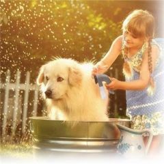 BUFFER® Pilli Güçlü Vakumlu Kablosuz Kedi ve Köpek Tüyü ve Toz, Tiftik Toplama Makinesi