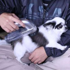 BUFFER® Pilli Güçlü Vakumlu Kablosuz Kedi ve Köpek Tüyü ve Toz, Tiftik Toplama Makinesi