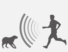 Swissinno Ultrasonik Köpek Kovucu El Tipi Cihaz 12m²