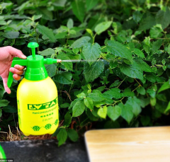 Basınçlı İlaçlama Pompası 2 Litre Çiçek Su Bitki Sulama