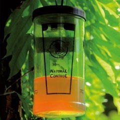 Swissinno Arı ve Eşek Arısı Kapanı