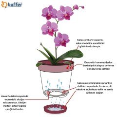 BUFFER® Plastik 2,3 Lt Kapasiteli Hava Delikli Alt Tabaklı Şeffaf Orkide Çiçek Saksısı