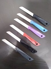 Solingen Rostfrei Simli Meyve Bıçağı Takımı Tırtıklı 6'lı Bıçak Seti