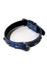 BUFFER® Yumuşak Dokulu Deri Köpek Gezdirme Boyun Tasması (Small)