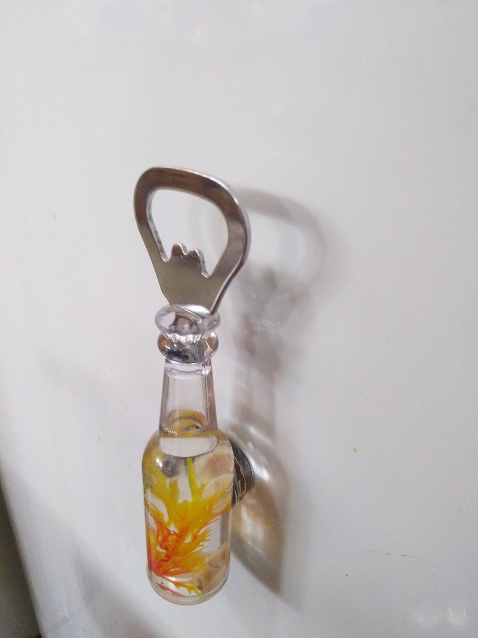 Magnet Açacak Gazoz Soda Şişe Açacağı Hediyelik (Deniz Kabuklu)