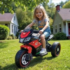 8187 CYCLE 12V BATTERY OPERATED