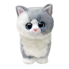 37411 FURLEY - CAT GRAY REG-MGA