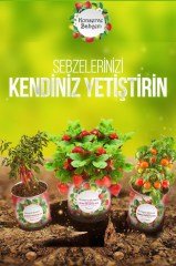 BUFFER® Konserve Bahçem Evde Konservede Kolay Ispanak Yetiştirme Kiti