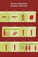 250 gr Aşı ve Budama Macunu – Bitki ve Ağaç Aşıları İçin Koruyucu Macun (1 adet)