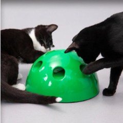 BUFFER® 360 Derece Dönebilen Değiştirilebilir İki Aparatlı Catch The Mouse Fare Yakalama Oyuncağı