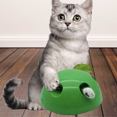 BUFFER® 360 Derece Dönebilen Değiştirilebilir İki Aparatlı Catch The Mouse Fare Yakalama Oyuncağı