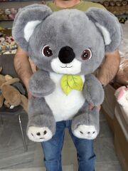 PL50181 50 CM KOALA -HLY