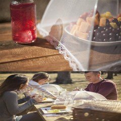 BUFFER® Gıda Koruma Şemsiyesi Yiyecek Yemek Sinek Koruyucu Tül Aparat