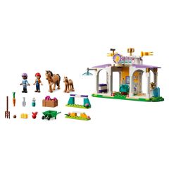 41746 Lego Friends At Eğitimi 134 parça +4 yaş