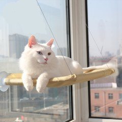 BUFFER® Cama Pencereye Asılan Vantuzlu Kedi Yatağı Cam Önü Kedi Hamağı
