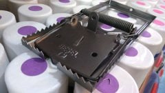 Full Metal Yaylı Fare Kapanı (Testere Ağızlı)