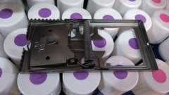 Full Metal Yaylı Fare Kapanı (Testere Ağızlı)