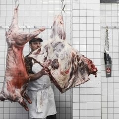 304 Paslanmaz Çelik S Tipi Et Asma Kancası – 10 mm Kalın, Kasap ve Mezbaha Kullanımına Uygun