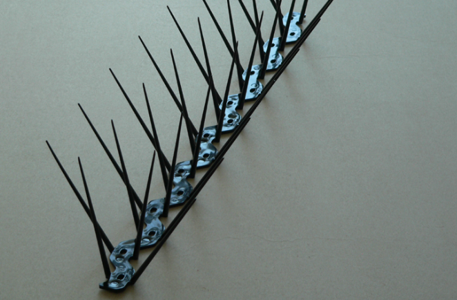 50 cm Kuş Dikeni Kondurmaz Dikenli Tel Polikarbonat Tüneme Önleyici Siyah