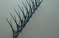 50 cm Kuş Dikeni Kondurmaz Dikenli Tel Polikarbonat Tüneme Önleyici Siyah