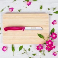 Solingen Meyve Bıçağı Sapı Simli Pembe Bıçak (6 Adet Gönderilir)