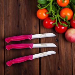Solingen Meyve Bıçağı Sapı Simli Pembe Bıçak (6 Adet Gönderilir)